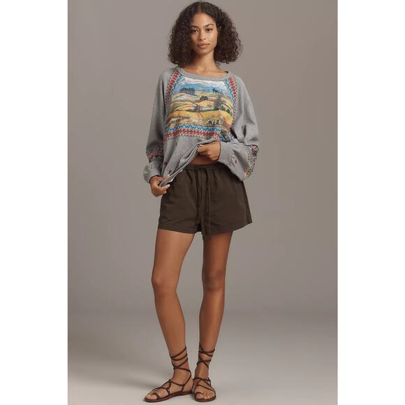 nwt ANTHROPOLOGIE PILCRO sz L Embroidered scenic pullover sweatshirt - Picture 3 of 4